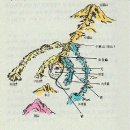 '풍수' 강의 4 | 장풍론(藏風論) 이미지