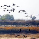 낙동강생태문화탐방로 이미지