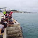 제주씨월드주식회사 이미지