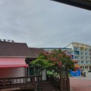 개미촌펜션 이미지