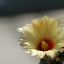 바람과 구름 이미지