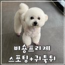 서울미용타운 - 군산시 문화로 67-1 | 서울미용타운