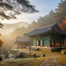 수국사 | 수국사 템플스테이 후기｜서울 도심에서 만나는 조용한 힐링 여행! 일정·프로그램·참가방법