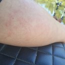 문평5 Daum카페