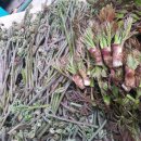 두름농장 이미지