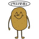 노바운더리 이미지