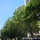 구암동466 이미지