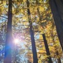 채원목장 이미지