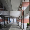 세종대로 | 스타벅스 세종대로점, 고풍스러운 금융박물관 건물에서의 커피 한 잔