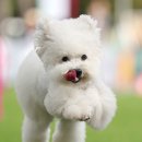 거뜬하다 이미지