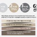 6차산업 잘잘잘 . 우리집에 장성축령산 편백이가 왔어요. 편백나무키우기/ 백련동편백농원