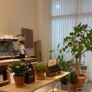 수원-0138 이미지