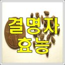 결명자차의 효능 및 부작용 이미지