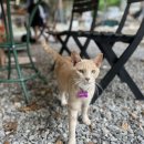 커피먹고가세 이미지