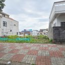 새서귀초등학교 이미지