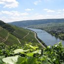 모젤(moselle)
