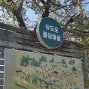 멍때리는 고양이 | 속초 여행 가볼만한 곳 벚꽃명소 겹벚꽃명소 상도문 돌담마을 후기