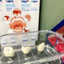 닥터홍치과의원 이미지