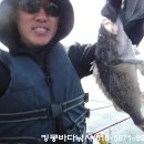 킹콩호 이미지