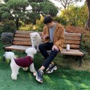 아리가독 이미지
