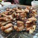 일광산곰장어