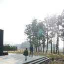 비자림빌리지1 이미지