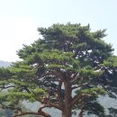 화도 검도관 이미지