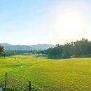 VIP골프존 이미지