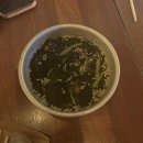 서주당 | 양양 헌팅 술집 맛집 ‘ 서주당 ’ 내돈내산 후기 | 매운갈비찜 | 콘치즈전