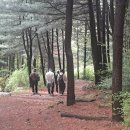 ♣ 백두산 제442회 사울대공원 산림욕장 길 걷기 이미지