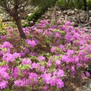 행복민박 이미지