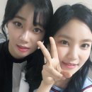 베리굿베리