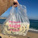 벌집 | 속초 중앙시장 맛집 속초술빵 벌집아이스크림 후기