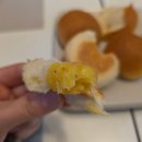 뚱이애견 | 하남애견동반 미사파스타 맛집 [테이블 드 파스타] 재방문후기