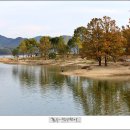［11월15일 토, 가을 이벤트］대청호 오백리길(4구간 호반낭만길) 갑니다~ 이미지