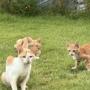 순창팬션 이미지