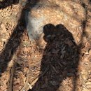 한반도면-12 | 아주 그냥 꼴리는대로 끄적이는 이야기11 / 서른 맞이 하이원