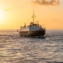 시인의 내일 이미지