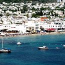 하얀낭만 이미지