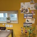 제주보배 이미지