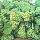 상무중학교 이미지