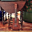 맑은 소리 우쿨렐레 이미지