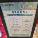 제주스카이캐슬풀빌라 | 제주신화월드 4박5일 워터파크 스카이풀 솔직후기