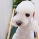 몽크의 아뜰리에 이미지