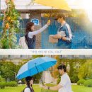 금비디오 이미지