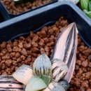 호반농장 이미지