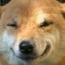 웃는강아지 이미지