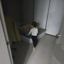 더미니니 네이버블로그