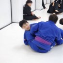 (주)레드비