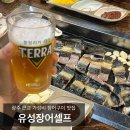 금성면 와룡길 전남 네이버블로그